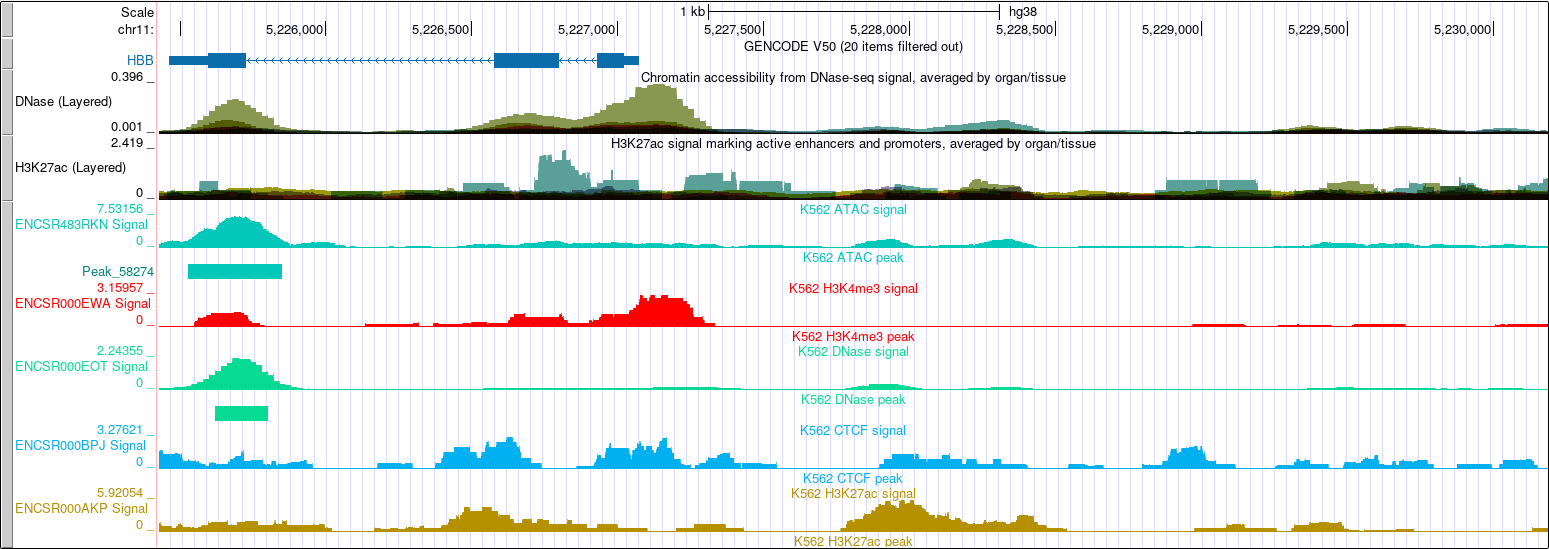 ENCODE4 Regulation Layered tracks and an Indiv. composite with peaks at the HBB locus