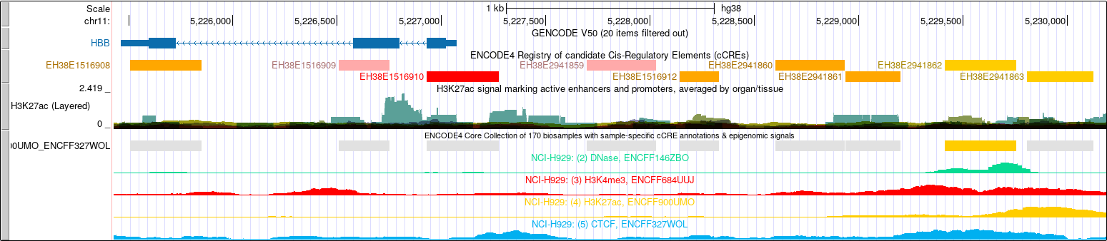 ENCODE4 cCREs and ENCODE4 Regulation tracks at the HBB locus