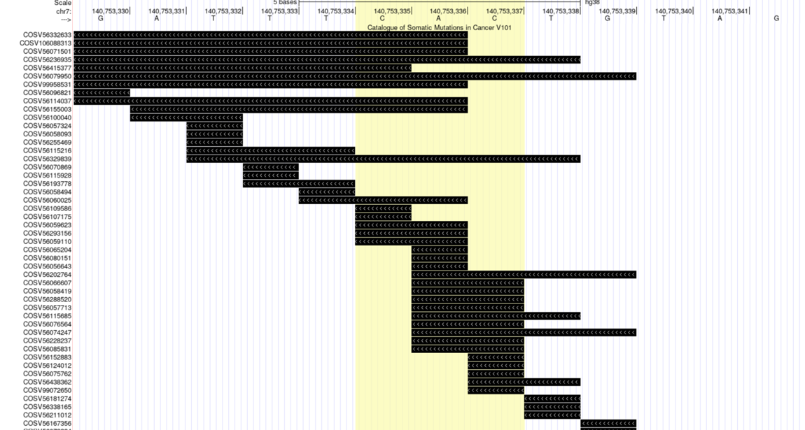 COSMIC track in the Genome Browser